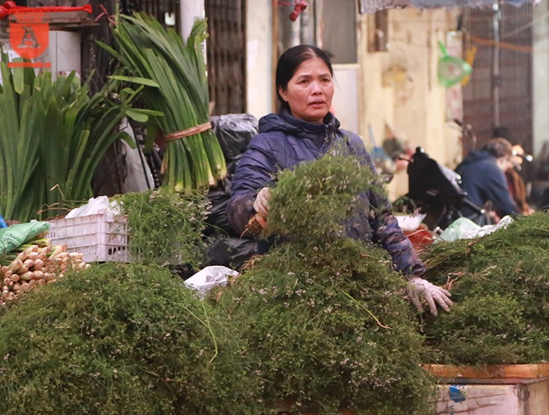Người Hà Nội đi mua rau mùi già chiều 30 Tết